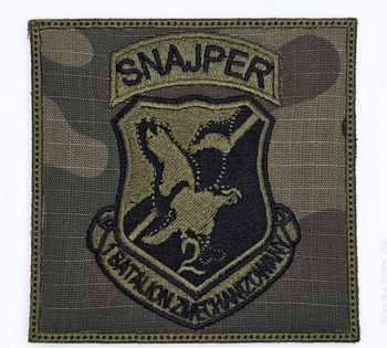 1 Batalion Zmechanizowany 2Brygady Zmechanizowanej w Złocieńcu