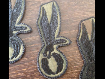 Naszywka Skoczek Wojsk Lądowych