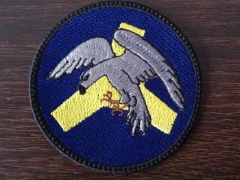 Naszywka CSWL Drawsko - GALOWA