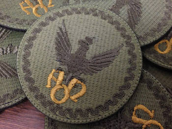 Naszywka AON - POLOWA MAT