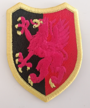 Naszywka 16 Tczewski Batalion Saperów - GALOWA