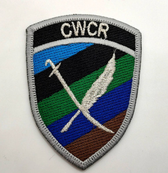 CWCR GALOWA SZARA RAMKA